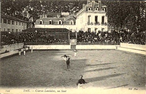 Dax (Landes) - Courses landaises 1