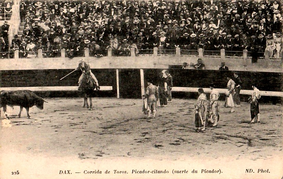 Dax (Landes) - Corrida - picador 5