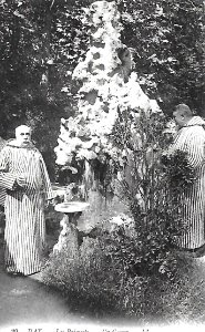 Dax (Landes) - Etablissement Thermal des Baignots - Parc 5