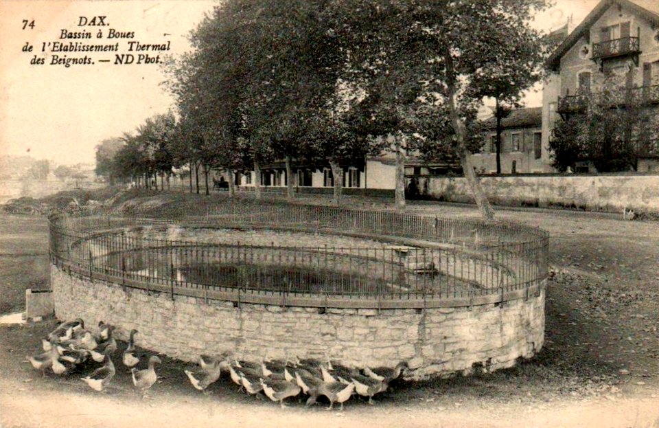 Dax (Landes) - Etablissement Thermal des Baignots - Bassin à boues 1