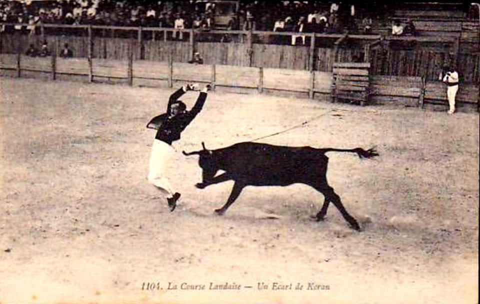 Dax (Landes) - Courses landaises 2