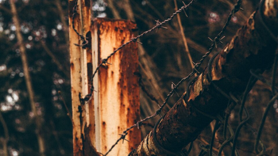 Barbed wire fence photo