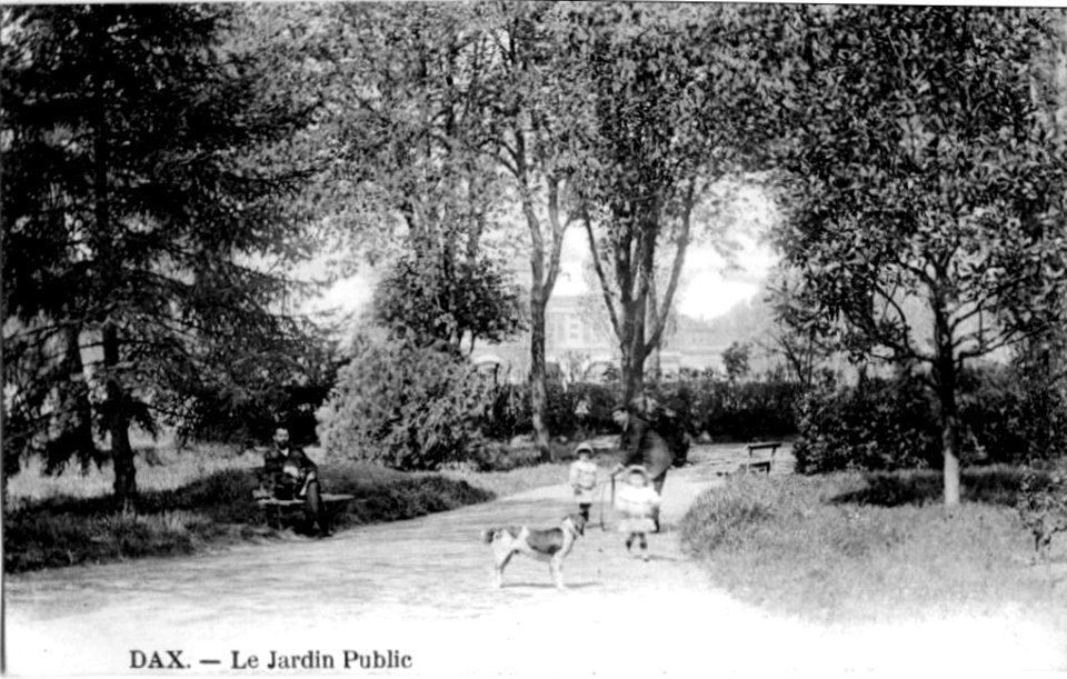 Dax (Landes) - Jardin Hôtel de ville 11