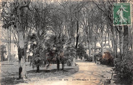 Dax (Landes) - Jardin Hôtel de ville 10