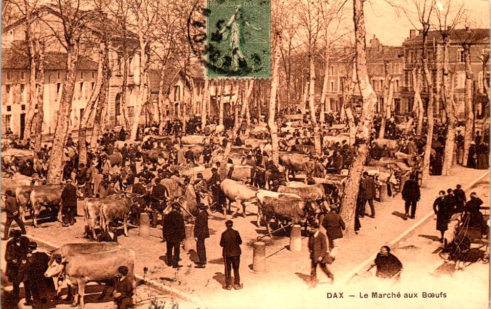 Dax (Landes) - Marché aux boeufs 11