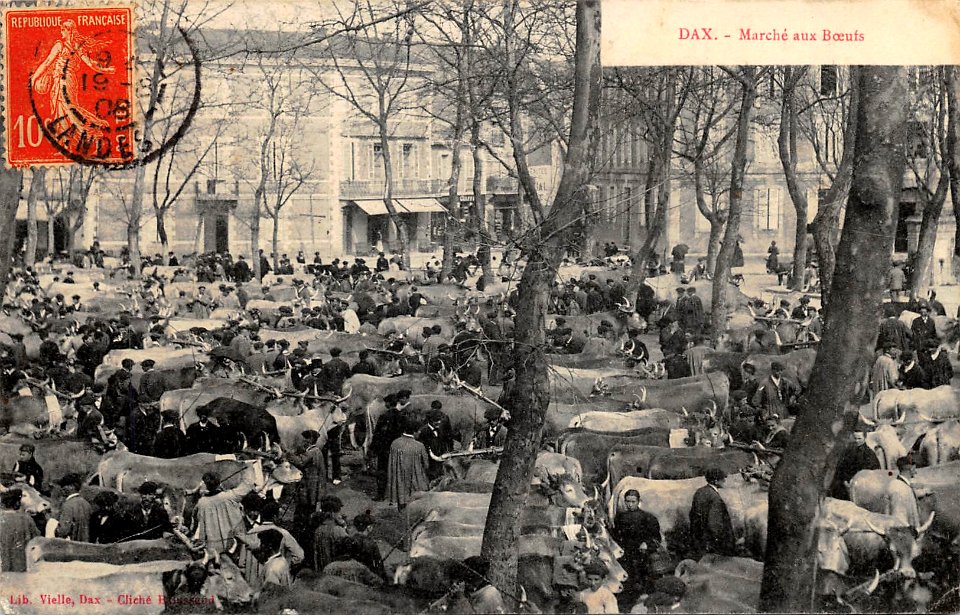 Dax (Landes) - Marché aux boeufs 9