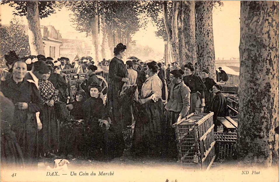 Dax (Landes) - Marché des ramparts 4