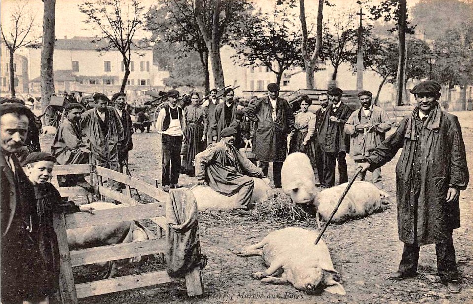 Dax (Landes) - Marché aux porcs 3