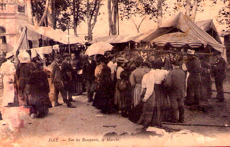 Dax (Landes) - Marché des ramparts 3