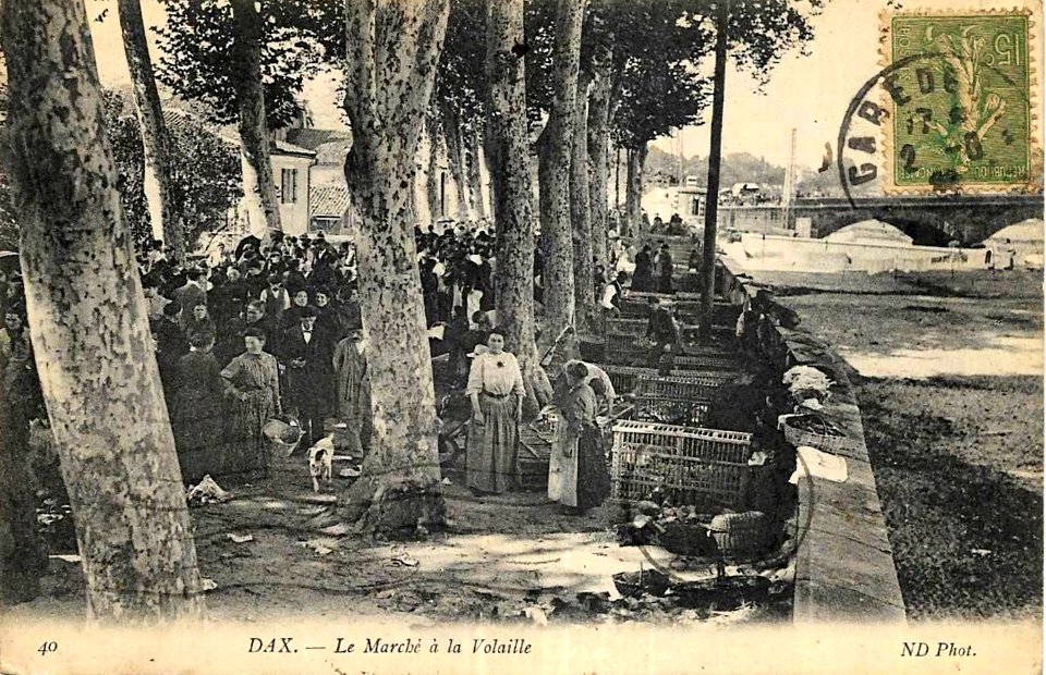 Dax (Landes) - Marché des ramparts 2