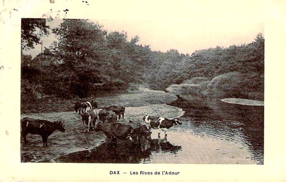 Dax (Landes) - rives de l'Adour 11