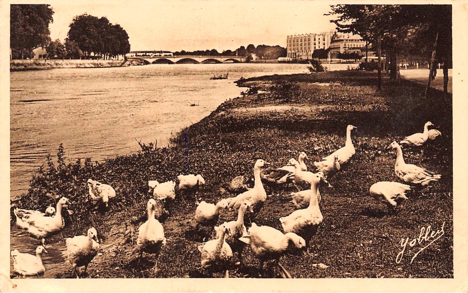 Dax (Landes) - rives de l'Adour 9