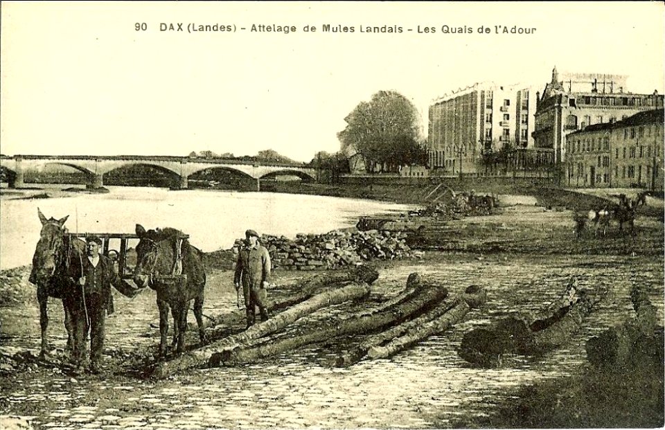 Dax (Landes) - rives de l'Adour 12