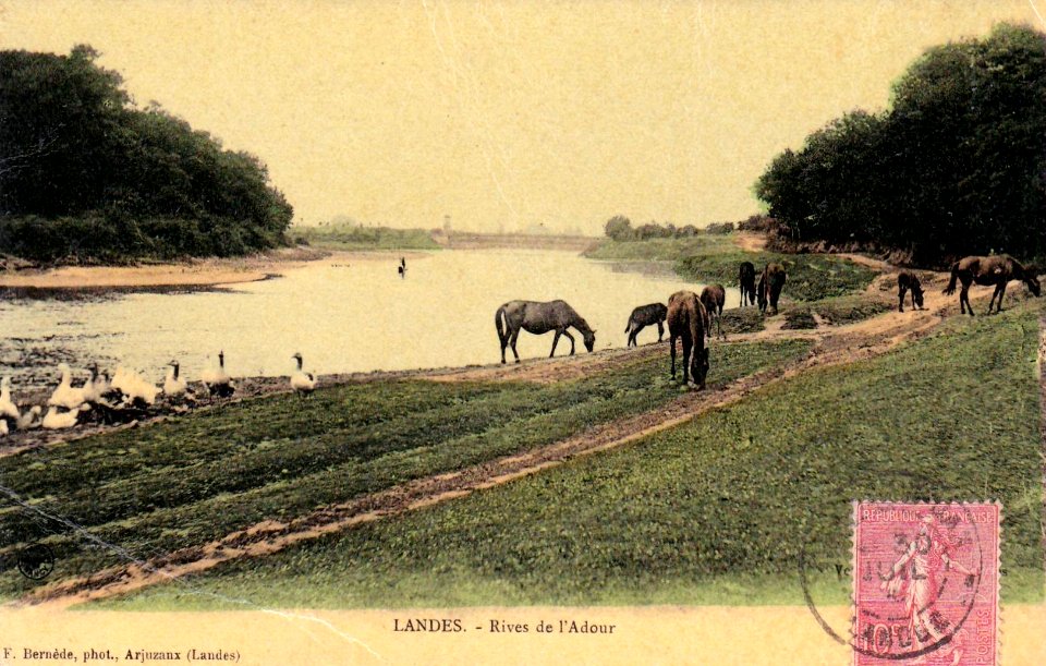 Dax (Landes) - rives de l'Adour 8