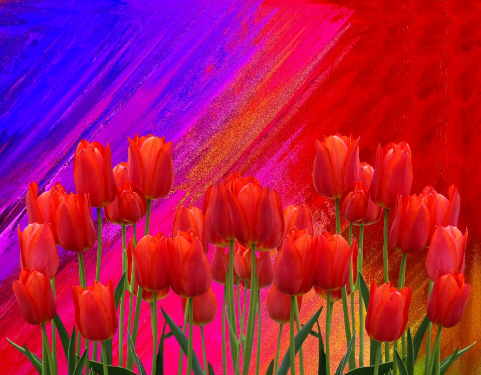 Flower bright plant