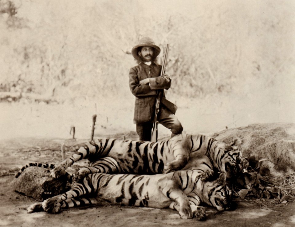 Dayal, Raja Lala Deen - H.H. der Nizam mit erlegten Tigern (Zeno Fotografie)