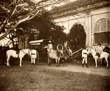 Dayal, Raja Lala Deen - Britisches Bungalow und Familie (Zeno Fotografie)