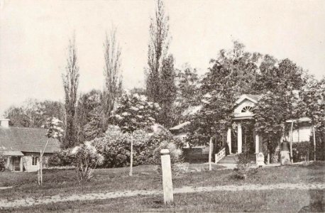 Dałmataŭščyna, Viarboŭski. Далматаўшчына, Вярбоўскі (T. Boretti, 1900)