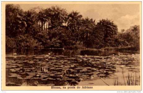 DC - Bissau, na ponta do Adriano photo