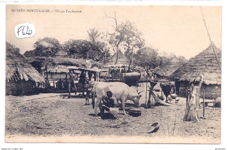 DC - Guinée Portugaise - Village Foulacoun 2 photo