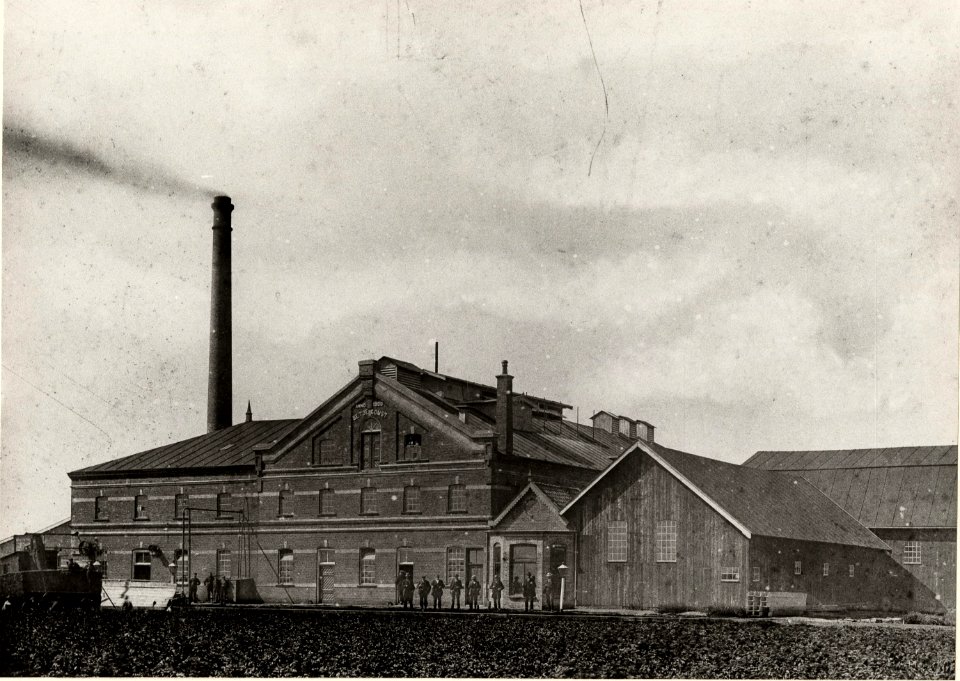 De toekomst 1905