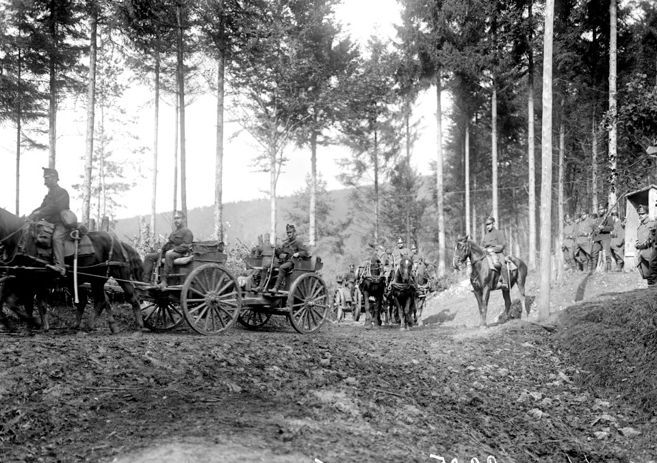 Die Haubitzenbatterie auf dem Marsch im Wald - CH-BAR - 3239110