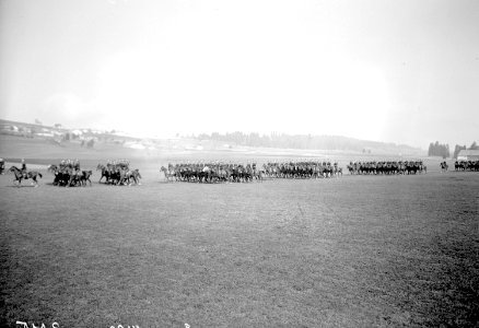 Die Kavallerie Brigade 1 beim Defilieren im Trab - CH-BAR - 3239136