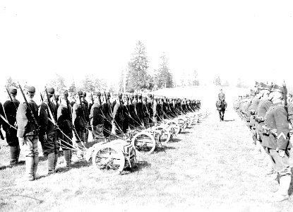 Die Handwagen der Maschinengewehrabteilung des Inf Rgt 13 - CH-BAR - 3241242