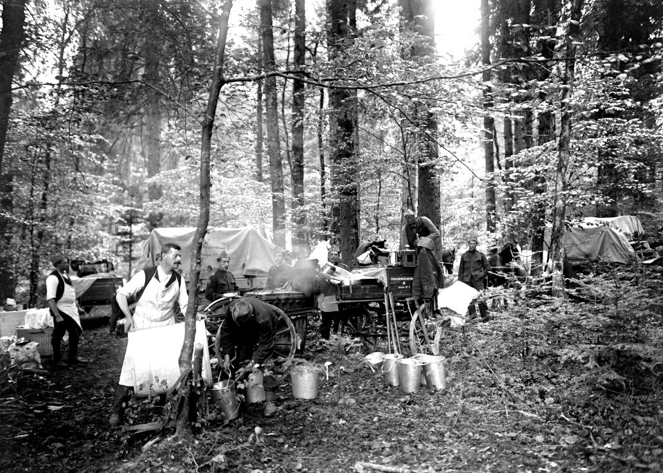 Die Küche eines Pontonier Bataillons im Waldbiwak - CH-BAR - 3239585