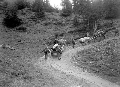 Die Landwehr Mitrailleure auf dem Marsch - CH-BAR - 3241311