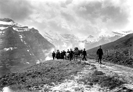 Die Landwehr Mitrailleure geniessen Bergpanorama - CH-BAR - 3241315