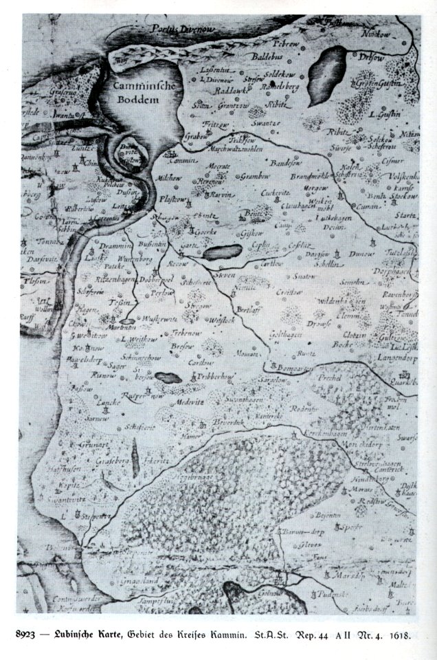 Die Lubinsche Karte - Gebiet des Kreifes Kammin