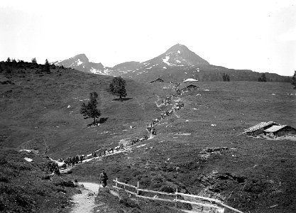 Die Mitrailleure beim Abstieg nach Grindelwald zwischen den Alphütten - CH-BAR - 3241328