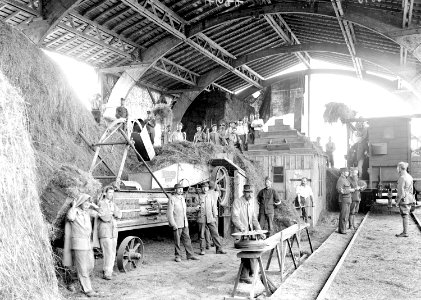 Die Mannschaft an der Heupressmaschine - CH-BAR - 3240672