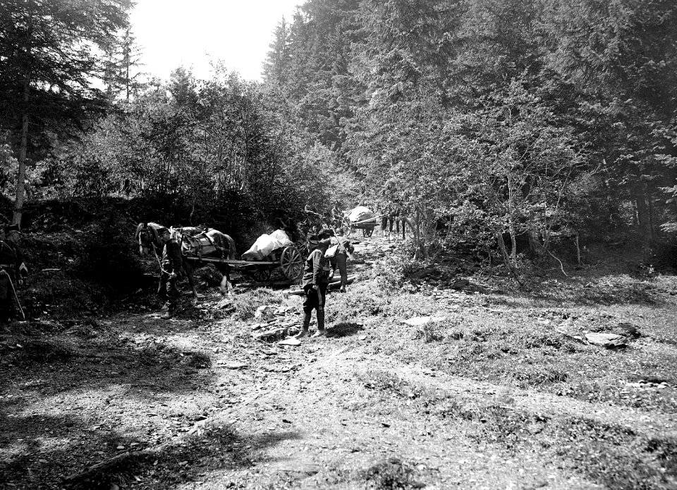 Die Mitrailleure auf einem schwierigen Waldweg Richtung Grindelwald - CH-BAR - 3241329