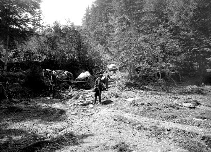Die Mitrailleure auf einem schwierigen Waldweg Richtung Grindelwald - CH-BAR - 3241329