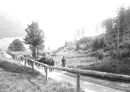 Die Mitrailleure im Aufstieg zum Weissenstein - CH-BAR - 3239993