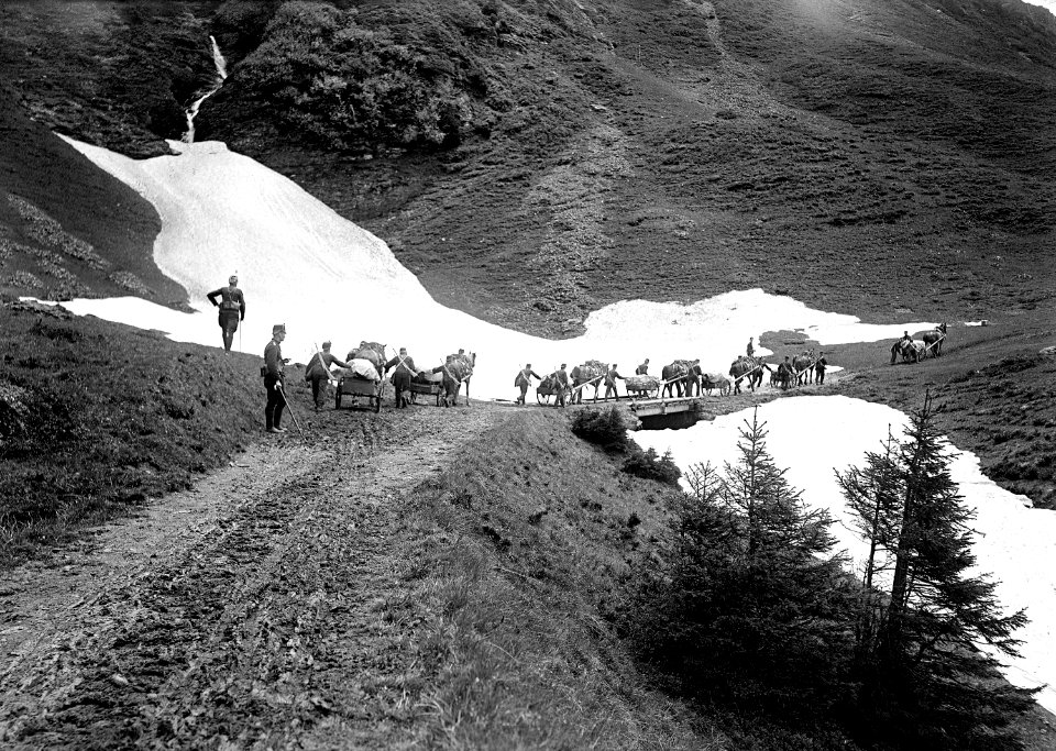 Die Landwehr Mitrailleure durchqueren ein kleines Schneefeld - CH-BAR - 3241313