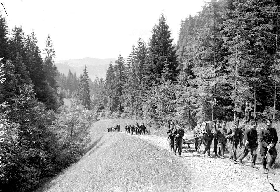 Die Mitrailleure sind gruppenweise auf dem Marsch - CH-BAR - 3238698