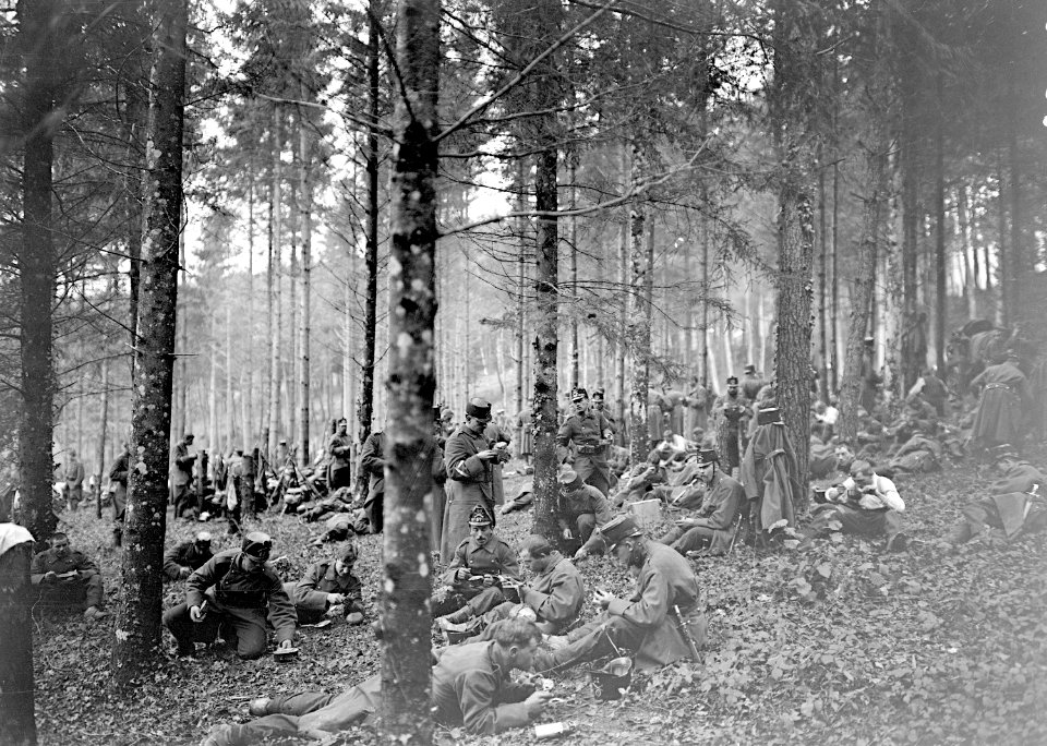 Die Reserven der Infanterie beim Mittagessen im Wald - CH-BAR - 3239113