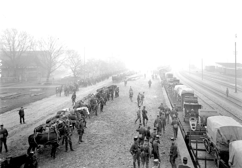 Die Pferde warten auf den Verlad auf die Eisenbahn - CH-BAR - 3239468
