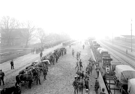 Die Pferde warten auf den Verlad auf die Eisenbahn - CH-BAR - 3239468