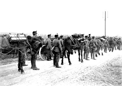Die Pferde sind beladen mit Maschinengewehr und Munition - CH-BAR - 3240407