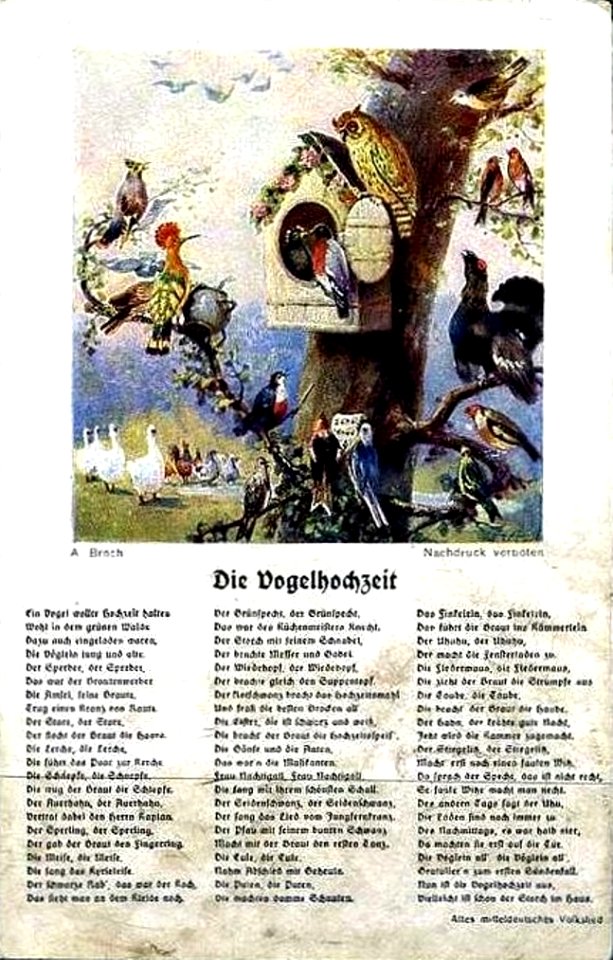 Die Vogelhochzeit - Liedpostkarte