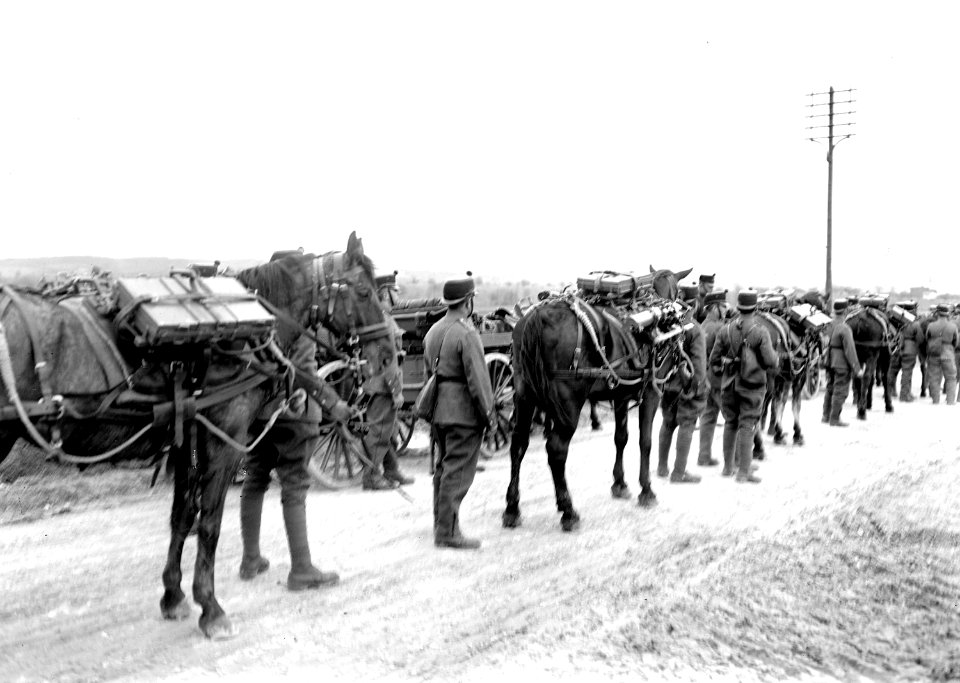 Die wartende Kolonne der Mitrailleure - CH-BAR - 3240408