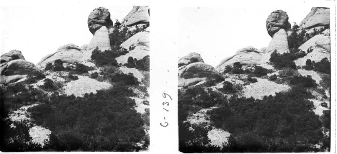 De camí