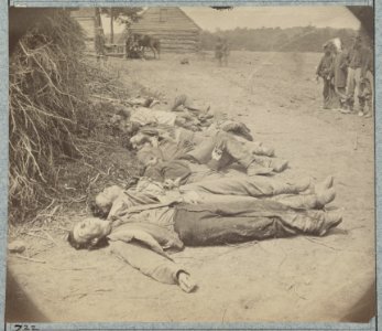Dead Confederates collected for burial LCCN2012647826