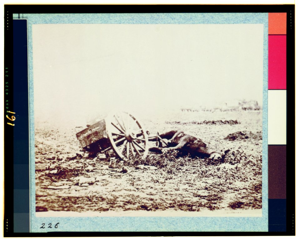 Dead horse on battlefield, Gettysburg, Pennsylvania LCCN91732546