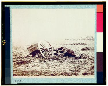 Dead horse on battlefield, Gettysburg, Pennsylvania LCCN91732546
