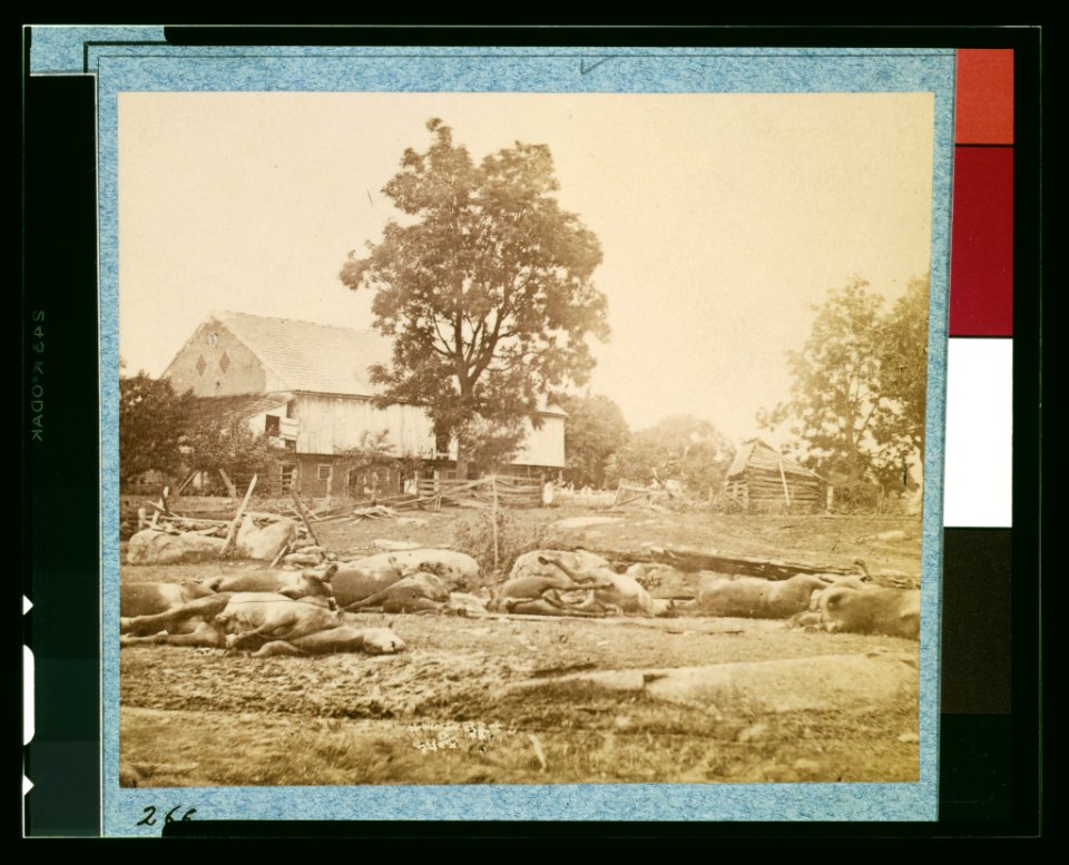 Dead horses of Bigelow's (9th Massachusetts) Battery LCCN91732551